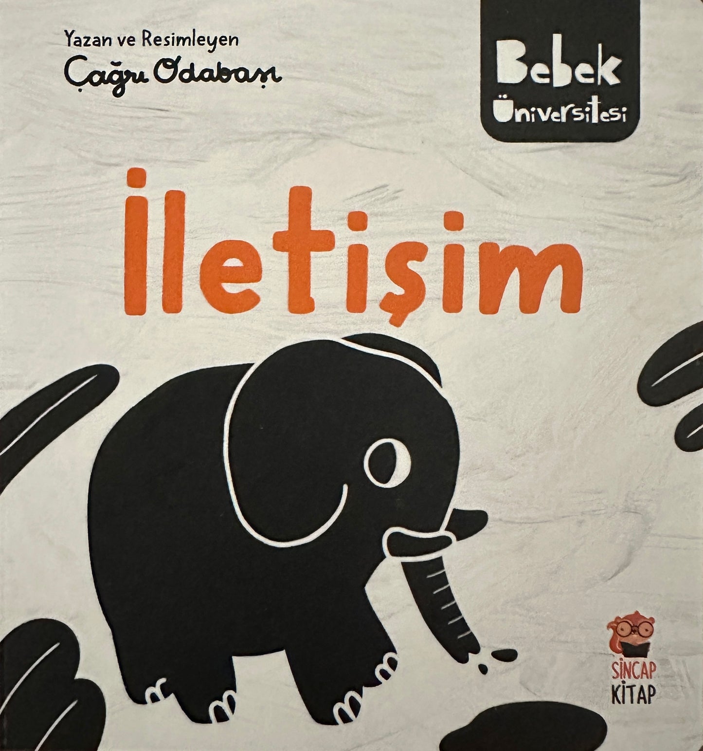 Bebek Üniversitesi - İletişim (Hikayeli İlk Kavramlarım)